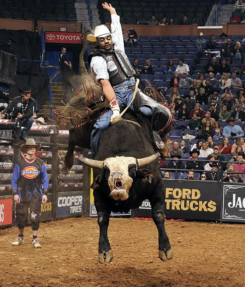 Marcus Randall Rodeo 002